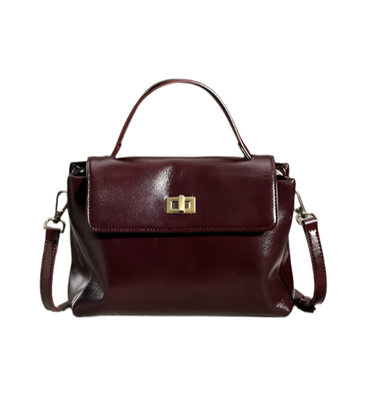 Allure Chic Satchel